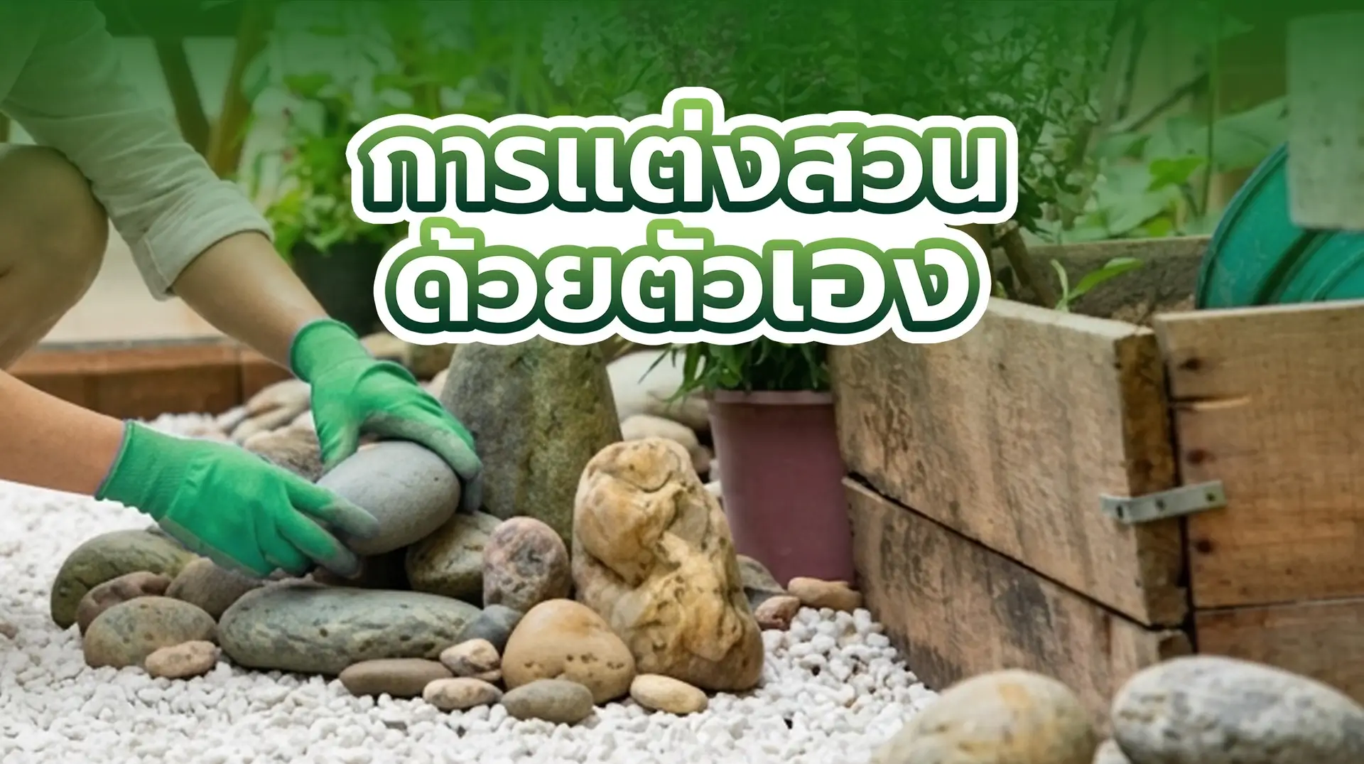 ปกบทความการเเต่งสวนด้วยตัวเอง