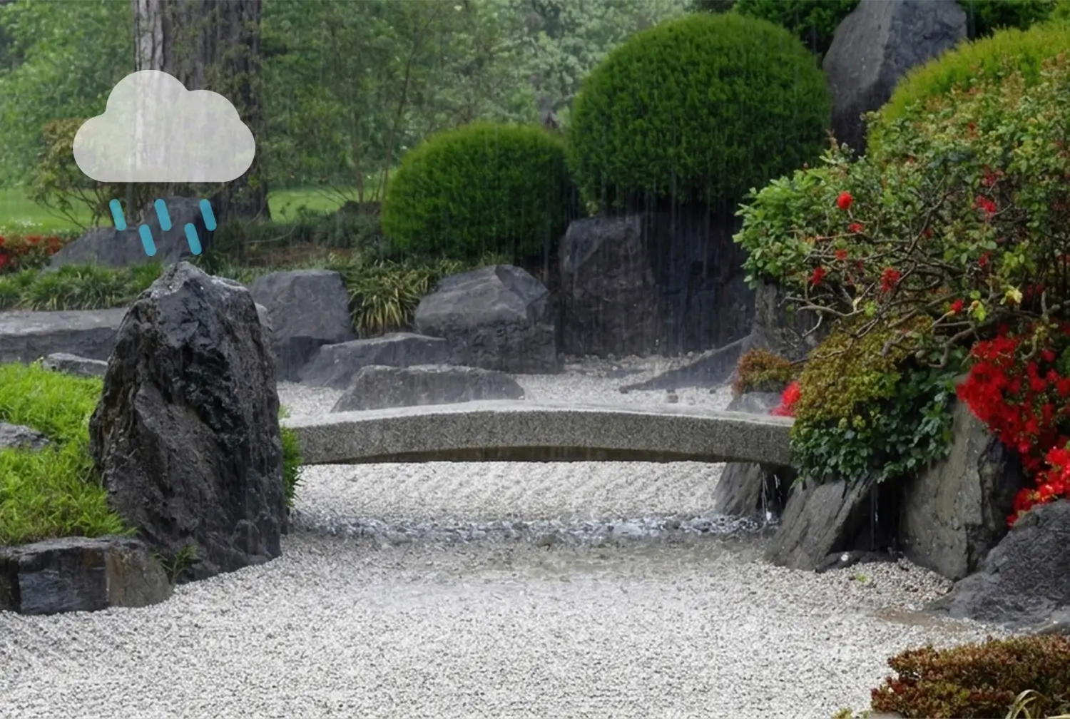 สวนฝน